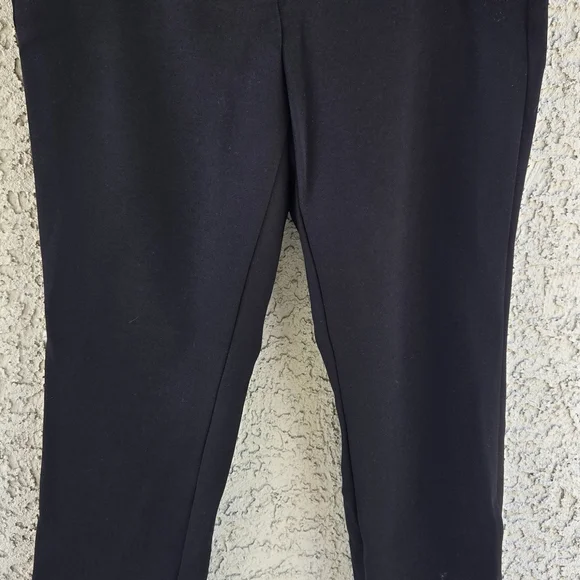 WHBM Jolie Straight Dress Pants - Picture 6 of 10